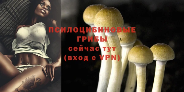 скорость Белокуриха